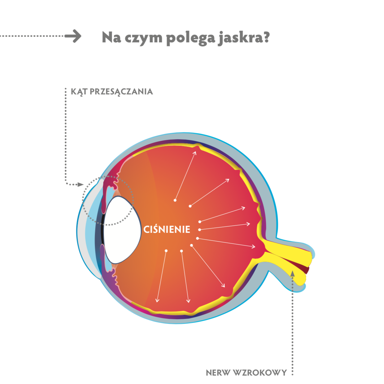 Książka PRZEJRZYJ NA OCZY - obrazek 6